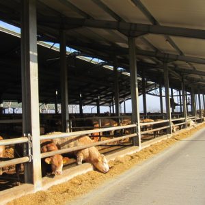 MTSZ - Mezőgazdasági acélszerkezetek